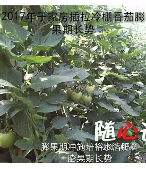 水溶肥厂家